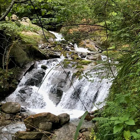 Διαμέρισμα Duernle *